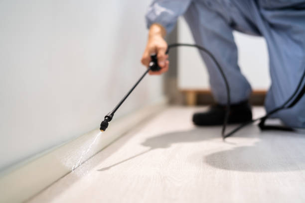 Licensed Pest Control service in Gleed, WA - Show Me Pest Control